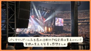 バンテリンドーム名古屋の注釈付き指定席は見えにくい？実際の見え方写真と感想まとめ