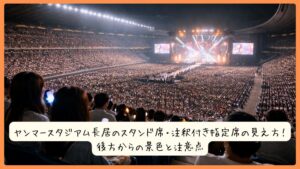 ヤンマースタジアム長居のスタンド席・注釈付き指定席の見え方！後方からの景色と注意点